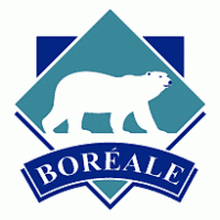 Boreale Logo PNG Vector
