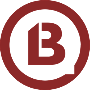 b13 Logo PNG Vector