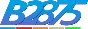 B2875 Logo PNG Vector