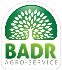 BADR AGRO SERVICE Logo Vector