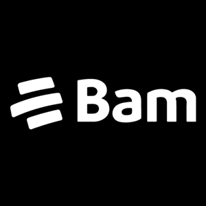 BAM nuevo Logo PNG Vector