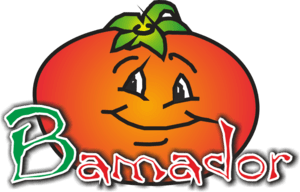 BAMADOR Logo PNG Vector