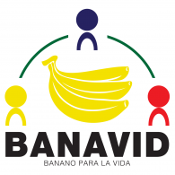 Banavid Logo PNG Vector