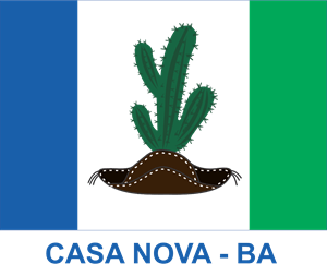 Bandeira Casa Nova BA Logo Vector