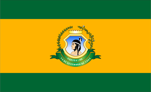 Bandeira de Caetés Pernambuco Logo PNG Vector