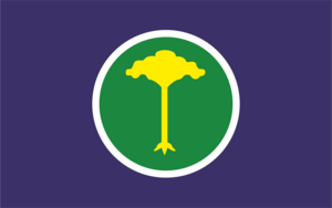 Bandeira de São Carlos-SP Logo PNG Vector
