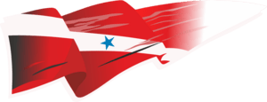 Bandeira do Pará Logo PNG Vector