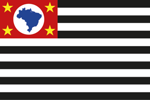 Bandeira Estado de Sao Paulo Logo Vector