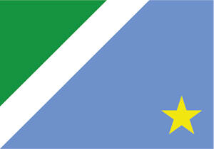 Bandeira Mato Grosso do Sul Logo PNG Vector