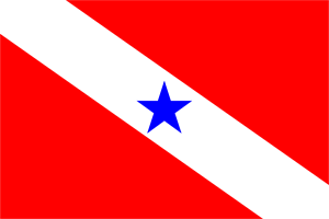 bandeira pará Logo PNG Vector