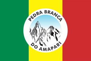 Bandeira Pedra Branca do Amapari Logo PNG Vector
