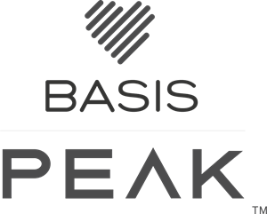 Basis Peak Logo Vector