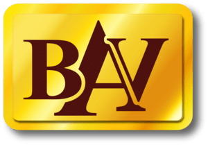 bav Logo PNG Vector