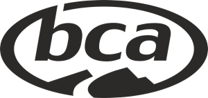 bca Logo Vector