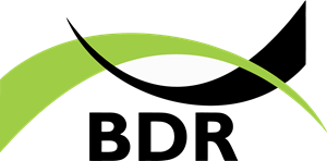 BDR Logo PNG Vector