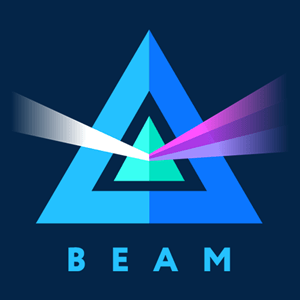 Beam Privacy Logo PNG Vector