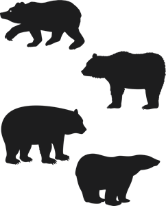 Bear Logo PNG Vector