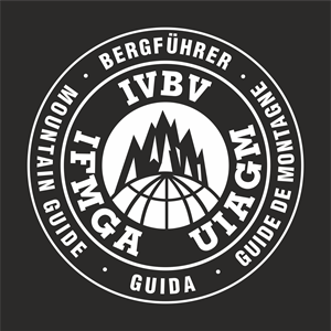 Berführer IVBV Logo PNG Vector