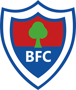 Bergantiños FC Logo PNG Vector