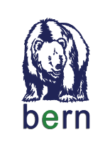BERN Logo PNG Vector