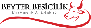 Beyter Besicilik Logo PNG Vector