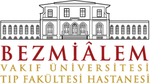 Bezmialem Vakıf Üniversitesi Logo Vector