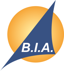 BIA Brussels international Airlines Logo PNG Vector