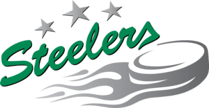 Bietigheim Steelers Logo PNG Vector