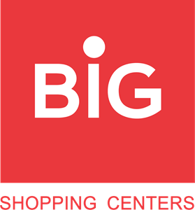 BIG Logo PNG Vector