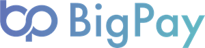 Big Pay Logo Vector