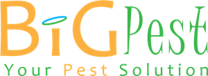 BIG PEST Logo Vector