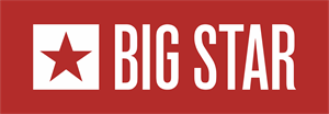 Big Star Logo Vector