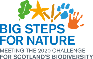 Big Steps for Nature Logo PNG Vector