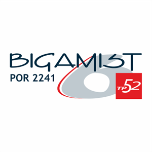 Bigamist Logo PNG Vector