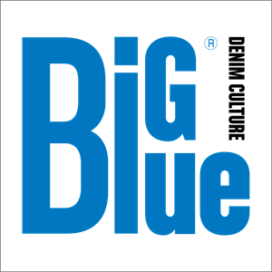 BigBlue Logo Vector