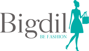 bigdil Logo PNG Vector