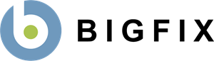 BIGFIX Logo PNG Vector