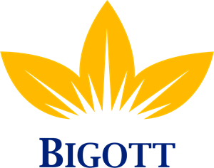 Bigott Logo PNG Vector