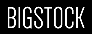 Bigstock Logo PNG Vector