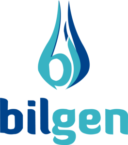 Bilgen Logo PNG Vector