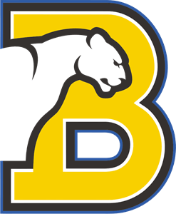 Birmingham-Southern Panthers Logo PNG Vector