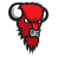Bisons Logo Vector