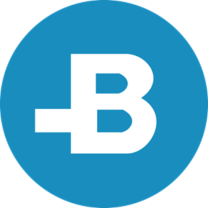 BitBay (BAY) Logo Vector