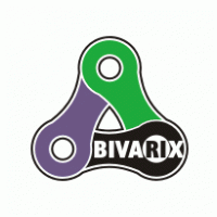 Bivarix Logo PNG Vector