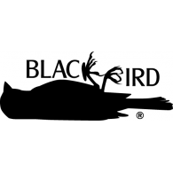 Black Bird Logo Vector