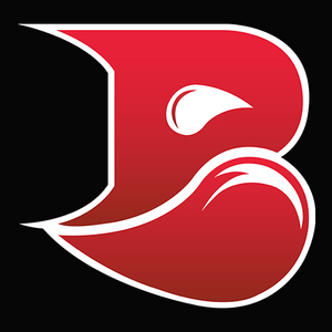 BLEED Esports Logo PNG Vector