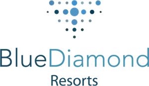 Blue diamond Logo PNG Vector