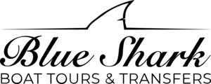 Blue Shark Boat Tours And Transfers Logo PNG Vector