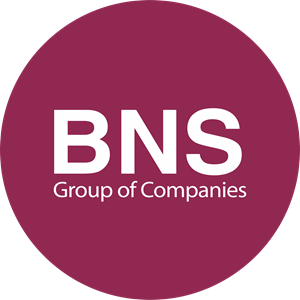 BNS-Group Logo PNG Vector