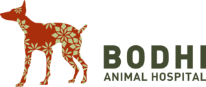 Bodhi Animal Hospital Logo PNG Vector